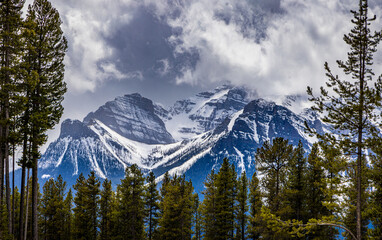 A striking and beautiful image of two peaks framed by pine trees in the Canadian Rockies in Banff National Park Canada.