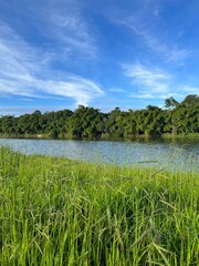 landscape lake beautiful