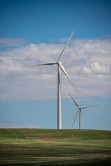 Fototapeta premium Wintering Hills wind park in central Alberta close to Drumheller.
