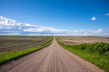 Fototapeta na wymiar Lonley prairie road leading off into the distance with summer rain clouds.