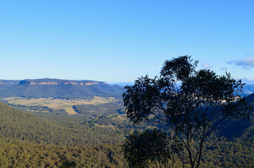 Obraz premium trees in the mountains