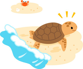 海から砂浜に上がるウミガメ