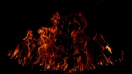 Haystack fires at night in arid areas The ash erupted and the wind was very dangerous. ashes red as...