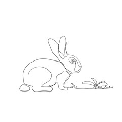continuous line drawing bunny rabbit illustration vector