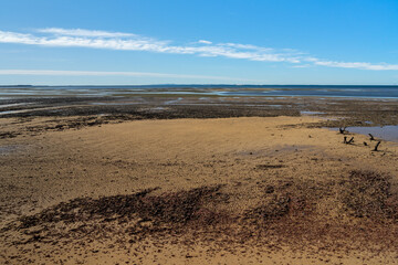 View at low tide, across rippled sand, to the sea and far horizon, under a blue sky with lines of white clouds. Wellington Point, Queensland, Australia 