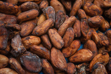 Pile of Cocoa Beans