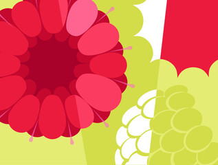 Abstract fruit design in flat cut out style. Close up of raspberry in cross section. Vector illustration. - 510509930