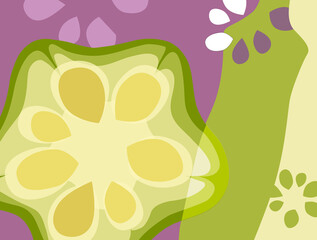 Abstract vegetable design in flat cut out style. Cross section of okra with seeds. Vector illustration. - obrazy, fototapety, plakaty