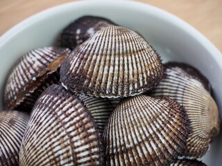 신선한 해산물 꼬막, 요리재료