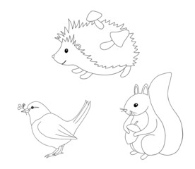 Cute outline hedgehog, squirrel and bird for coloring page. Hand drawn characters forest animals isolated on white background. Line Woodland fall illustration