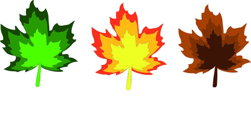 Colorful autumn maple leaves vector design