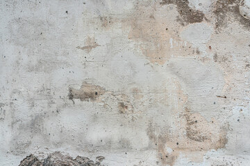 Closeup texture abstract of old and crack wall background, floor cement with algae. Copy space for text