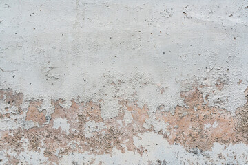Closeup texture abstract of old and crack wall background, floor cement with algae. Copy space for text