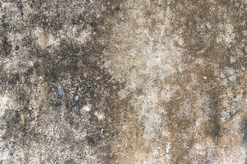 Closeup texture abstract of old and crack wall background, floor cement with algae. Copy space for text