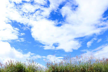 夏の青空