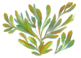 Tropical red green plant elements autumn watercolor hand painting illustration