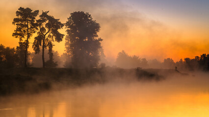 Poranne mgły przed wschodem słońca nad rzeką Wartą - obrazy, fototapety, plakaty