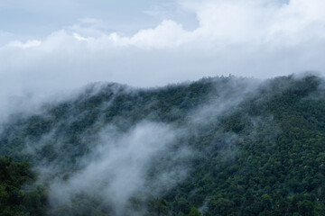 Fototapeta na wymiar Landscape image of greenery rainforest mountains and hills on foggy day