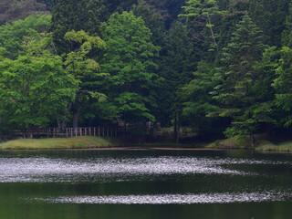 森に囲まれた湖と散策道