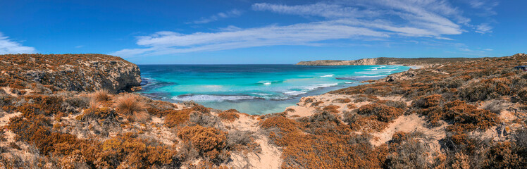 Island beach panoramic view with ocean and vegetation
