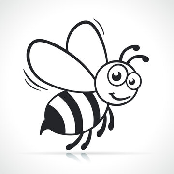 honey bee black and white