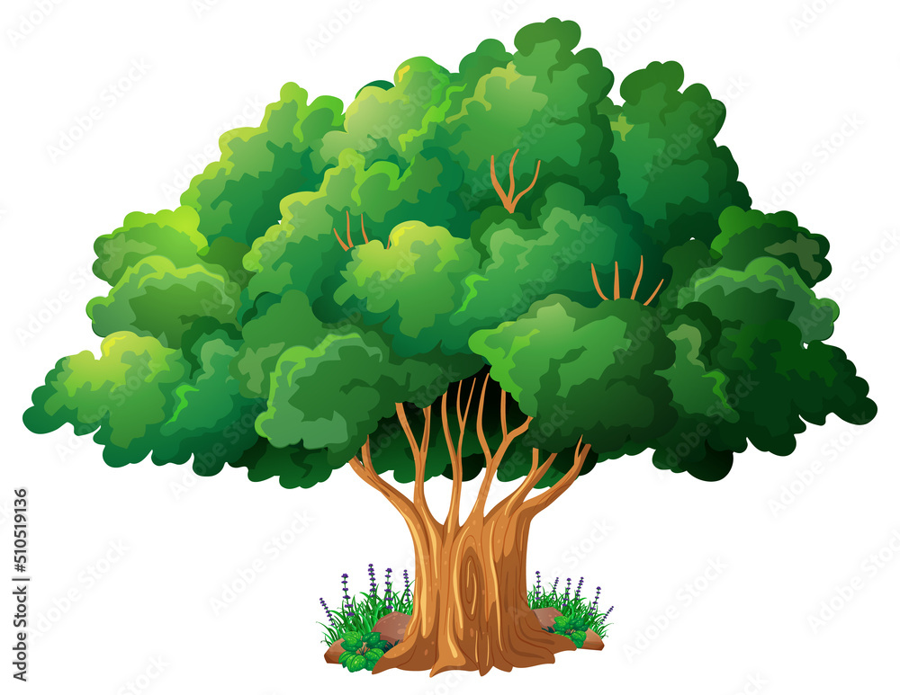 Wall mural Big tree isolated cartoon