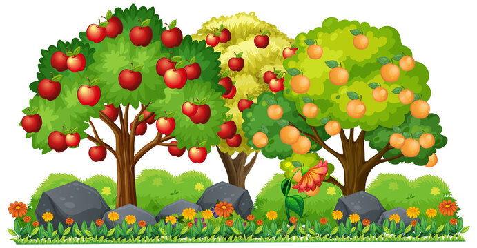 Apple tree and orange tree cartoon