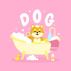 A puppy in the bath. Vector illustration.
