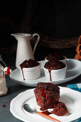 Delicious chocolate muffins with chocolate chips