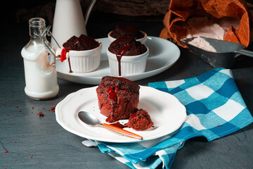 Delicious chocolate muffins with chocolate chips