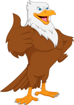 cute eagle cartoon thumbs up