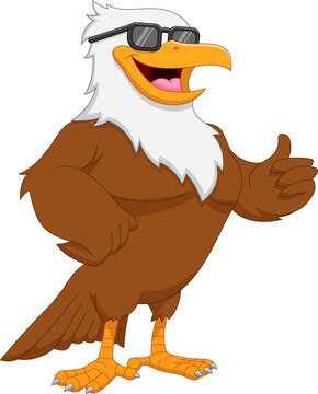 cartoon cute eagle wearing sunglasses and thumbs up