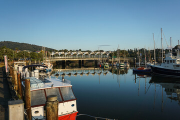 Beautiful morning around Whangarei port in Whangarei, Northland, New Zealand.