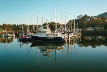 Fototapeta na wymiar Beautiful morning around Whangarei port in Whangarei, Northland, New Zealand.
