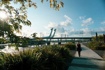 Beautiful morning around Whangarei port in Whangarei, Northland, New Zealand.