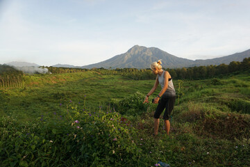 Fototapeta premium A Woman walking around plantation in Banyuwangi, East Java, Indonesia.