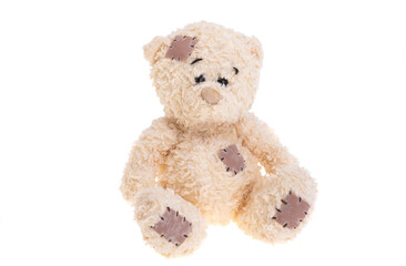 bear toy isolated
