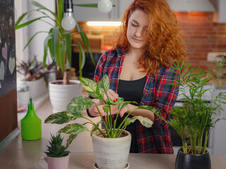 Young smiling female gardener in plaid shirt taking care of plants. Home gardening, houseplant love, freelancing. Home gardening and slow life rituals. Indoor gardening.