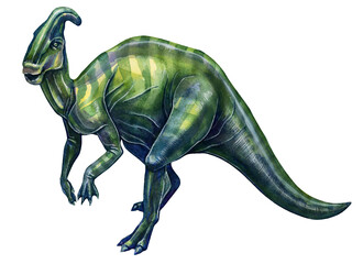 Prehistoric parasaurolophus dinosaur drawing in watercolor on white background © Viktoriia