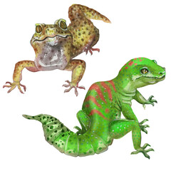 Set of geckos. Brightly colored reptiles. Colored lizards. Watercolor drawing of animals.
