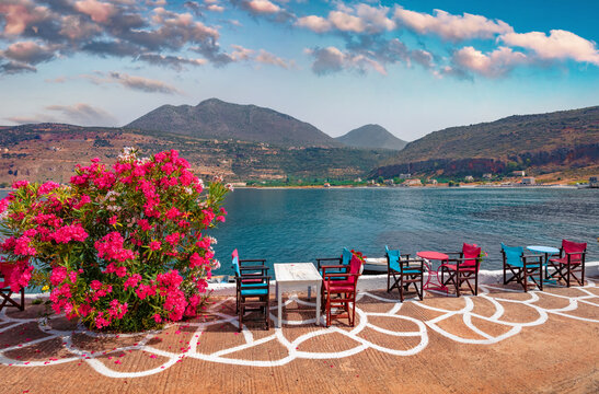 Blooming pink flowers on the shore of Neo Itilo village. Hospitable cafe on Ionian coast. Sunny morning scene of Peloponnese peninsula, Greece, Europe. Vacation concept background..