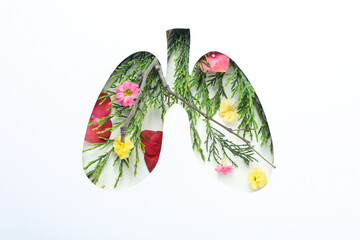 World lung day or lung healthy concept on white background