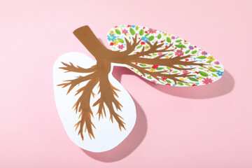 World lung day or lung healthy concept on pink background