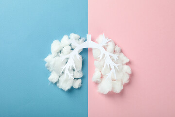 Concept of allergy, lungs on two tone background - obrazy, fototapety, plakaty