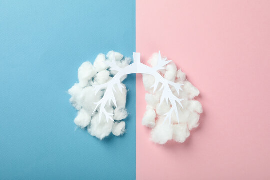 Concept of allergy, lungs on two tone background