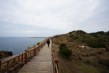 Fototapeta na wymiar seaside cliff walkway and horse