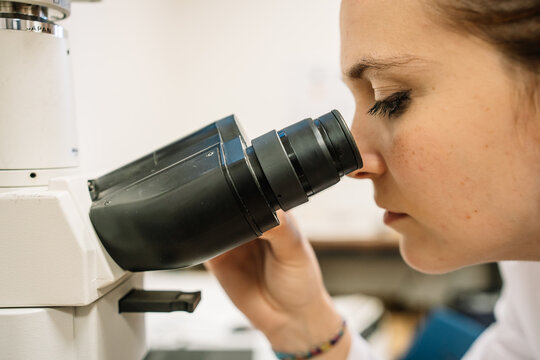 Focused scientist looking through microscope in lab