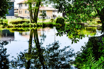 菖蒲まつり、曽根城跡、華渓禅寺付近を散策する