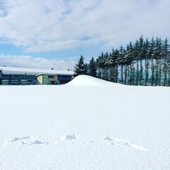 Fototapeta premium snow covered house