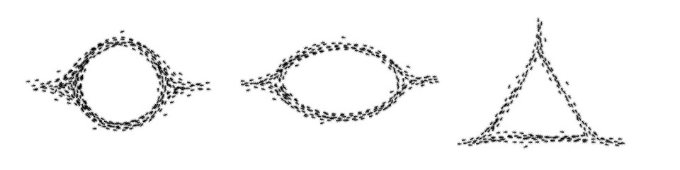 Ants trail circle, oval, triangle frame, line of working ants on white background. Groups of insect marching or walking down the road. Insect colony, control disinfection, vector illustration